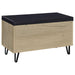 Brixton Storage Benches - Furniture Land (Milwaukee, WI)