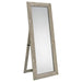 Cadence Standing Mirrors - Furniture Land (Milwaukee, WI)