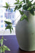 Baychester Vase - Furniture Land (Milwaukee, WI)