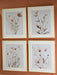 Chettings Wall Art (Set of 4) - Furniture Land (Milwaukee, WI)