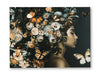 Valfer Wall Art - Furniture Land (Milwaukee, WI)