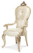 Platine de Royale Arm Chair in Champagne (Set of 2) - Furniture Land (Milwaukee, WI)
