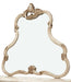 Platine de Royale Mirror in Champagne - Furniture Land (Milwaukee, WI)
