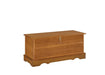 Paula Rectangular Cedar Chest Honey - Furniture Land (Milwaukee, WI)