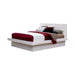 Jessica California King, E.king, & Queen Bed with Storage Headboard Cappuccino - Furniture Land (Milwaukee, WI)