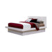 Jessica California King, E.king, & Queen Bed with Storage Headboard Cappuccino - Furniture Land (Milwaukee, WI)