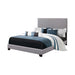 Boyd California King, King, & Queen Upholstered Bed with Nailhead Trim Charcoal & Grey - Furniture Land (Milwaukee, WI)