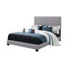 Boyd California King, King, & Queen Upholstered Bed with Nailhead Trim Charcoal & Grey - Furniture Land (Milwaukee, WI)