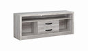 Burke 2-drawer TV Console Grey Driftwood - Furniture Land (Milwaukee, WI)