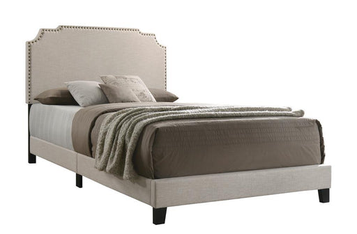 Tamarac Upholstered Nailhead Full, Eastern King & Queen Bed Beige & Grey - Furniture Land (Milwaukee, WI)