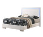 Felicity Full & Twin Panel Bed with LED Lighting Glossy White - Furniture Land (Milwaukee, WI)