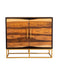 Zara 2-door Accent Cabinet Black Walnut and Gold - Furniture Land (Milwaukee, WI)