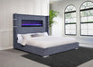 Tisdall California King, E.King & Queen Bed Grey, Black & Queen - Furniture Land (Milwaukee, WI)