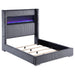 Tisdall California King, E.King & Queen Bed Grey, Black & Queen - Furniture Land (Milwaukee, WI)