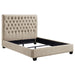 Chloe Queen Beds - Furniture Land (Milwaukee, WI)