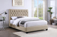 Chloe Queen Beds - Furniture Land (Milwaukee, WI)