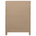 Revello Chests - Furniture Land (Milwaukee, WI)