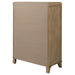 Revello Chests - Furniture Land (Milwaukee, WI)