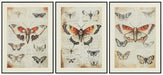 Jossletts Wall Art (Set of 3) - Furniture Land (Milwaukee, WI)
