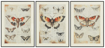 Jossletts Wall Art (Set of 3) - Furniture Land (Milwaukee, WI)